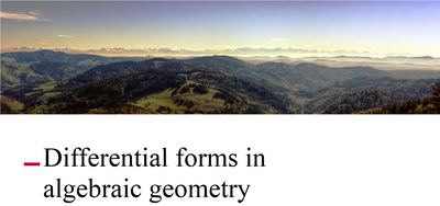 Differential forms in algebraic geometry