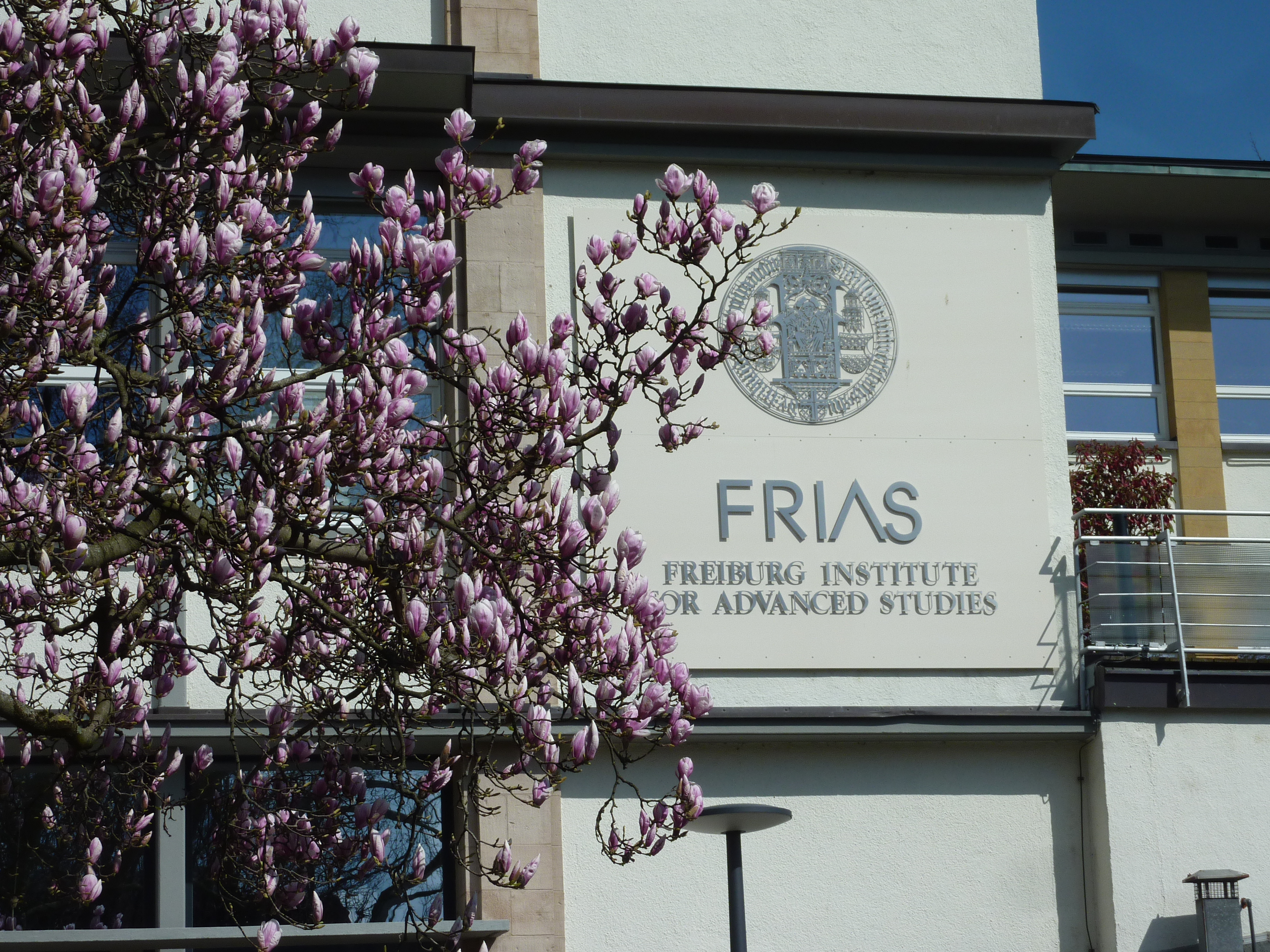 Aufruf zur Bewerbung: External Senior und Junior Fellowships am FRIAS mit dem Marie S. Curie COFUND Programm